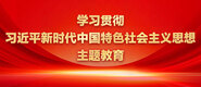 逼暴露在外被撑开艹学习贯彻习近平新时代中国特色社会主义思想主题教育_fororder_ad-371X160(2)